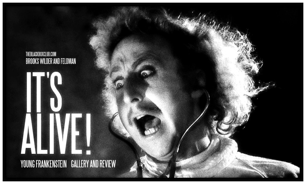 YOUNG-FRANKENSTEIN-100-1024x617.jpg