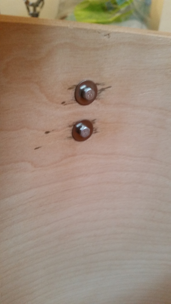 20170202_145247.jpg