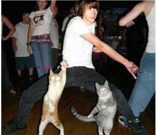 image.jpg